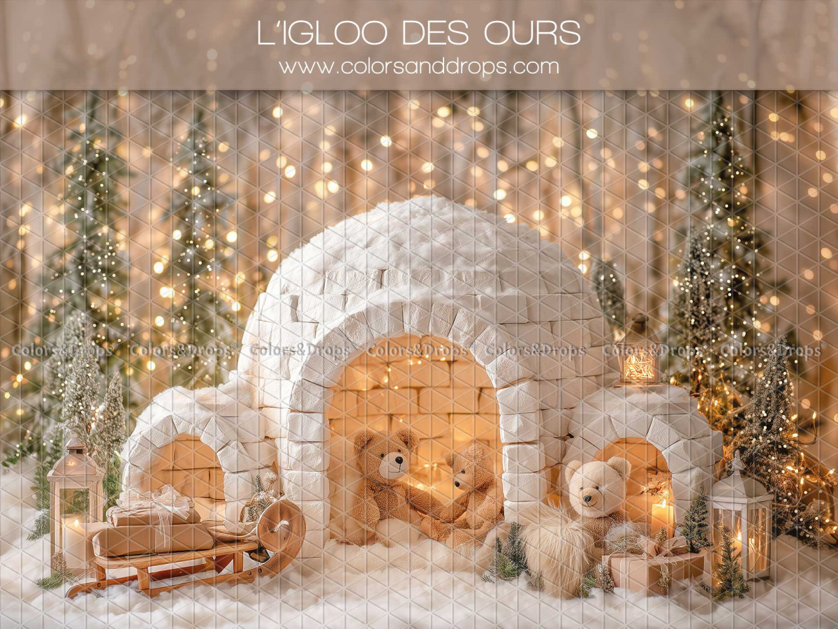 Fond photo de Noël L'Igloo des Ours – igloo avec ours en peluche et sapins illuminés | Colors&Drops