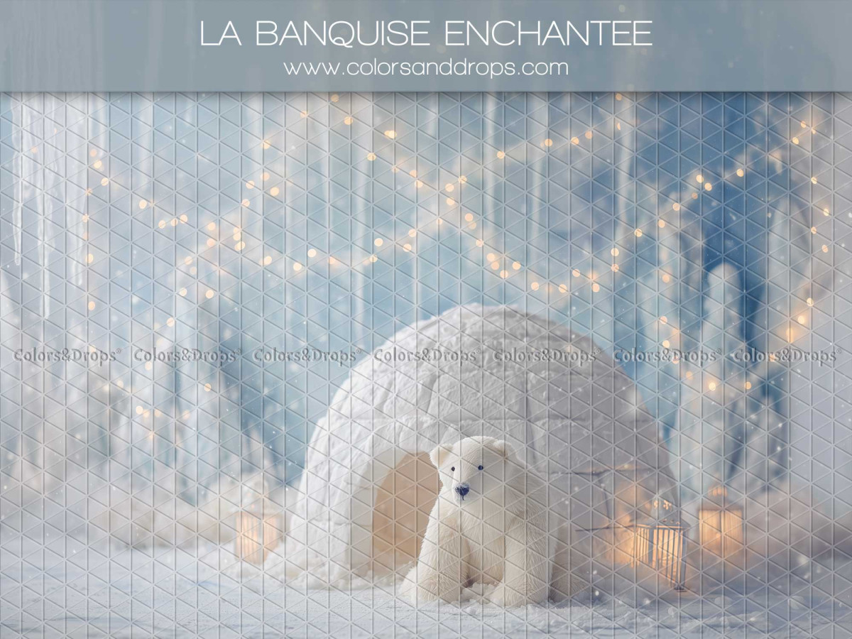 Fond photo de Noël La Banquise Enchantee – banquise avec igloo et ours polaire | Colors&Drops