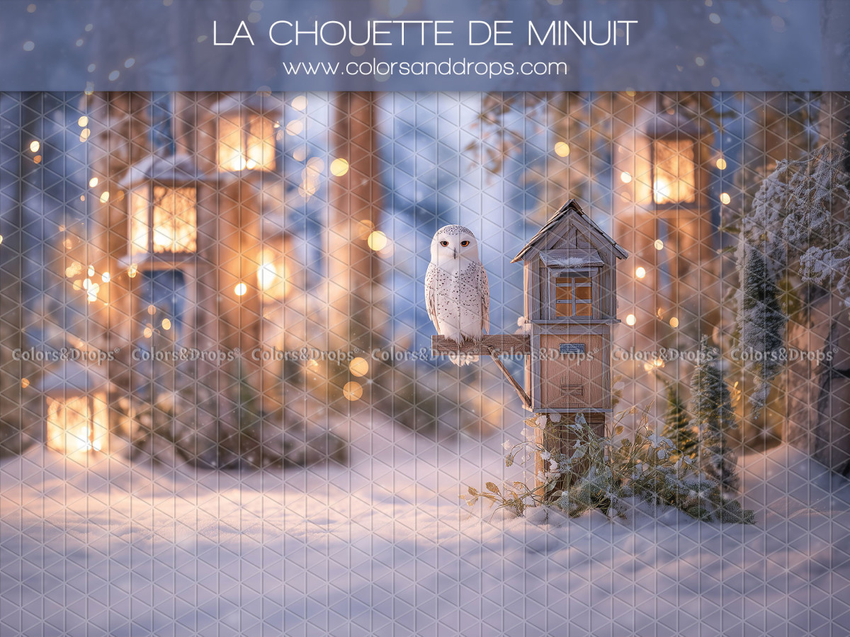 Fond photo de Noël La Chouette de Minuit – chouette blanche dans une forêt de nuit enneigée | Colors&Drops