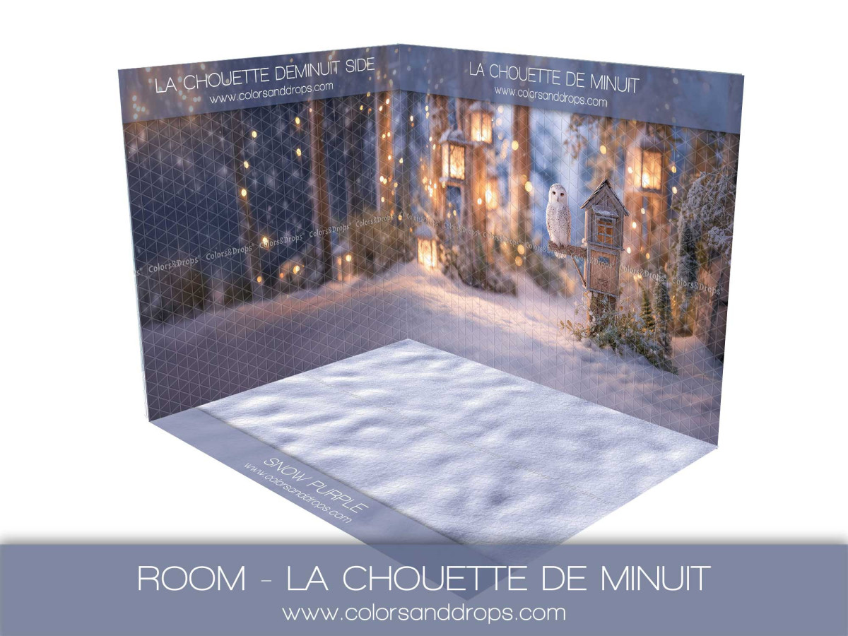Fond photo d'angle de Noël La Chouette de Minuit – forêt de nuit avec chouette | Colors&Drops