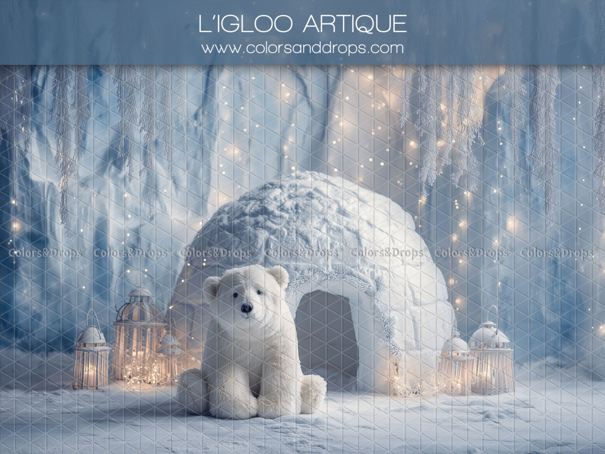 Fond photo de Noël L'Igloo Artique – igloo et ours polaire dans une grotte de glace | Colors&Drops