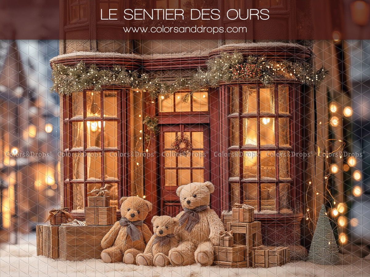 Fond photo de Noël Le Sentier des Ours – vitrine de boutique avec ours en peluche enneigée | Colors&Drops