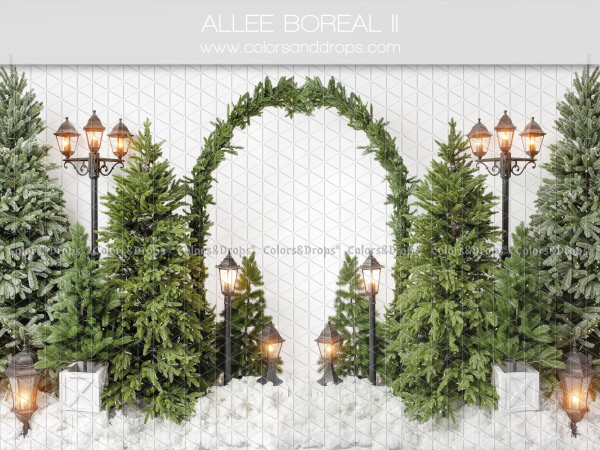 Fond photo de Noël Allee Boreal II – arche de verdure avec sapins et réverbères | Colors&Drops
