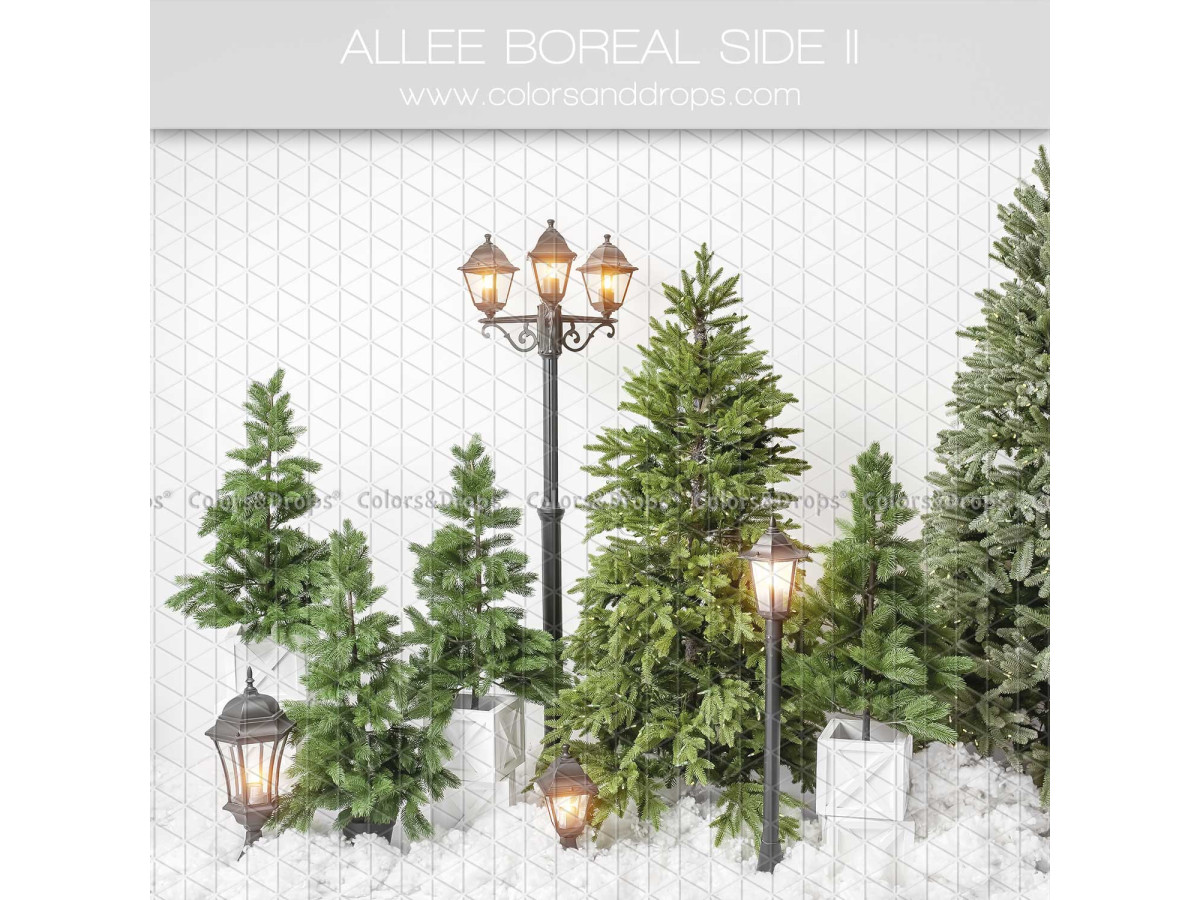 Fondo fotográfico lateral de Navidad Allee Boreal Side II – abetos y farolas sobre fondo blanco nevado | Colors&Drops
