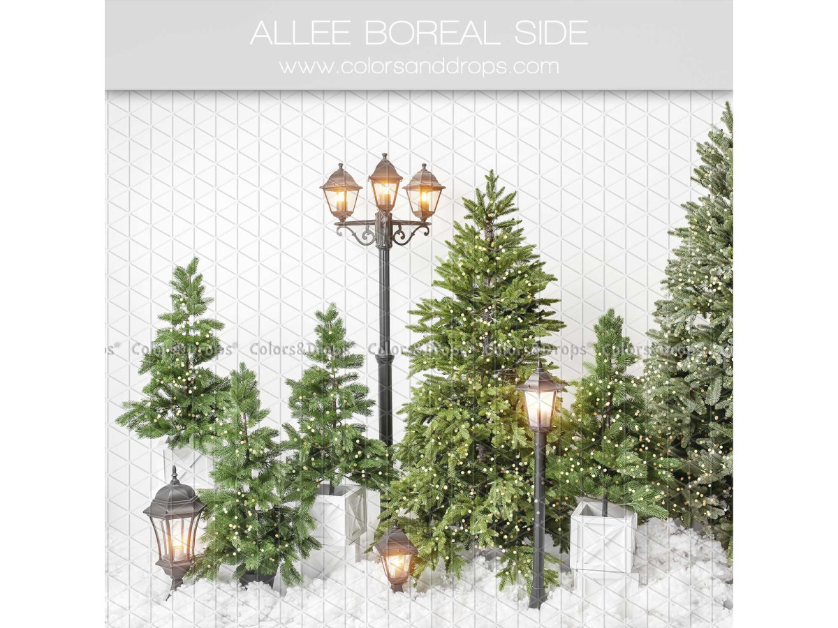 Fondo fotográfico lateral de Navidad Allee Boreal Side – abetos y farolas sobre fondo blanco nevado | Colors&Drops