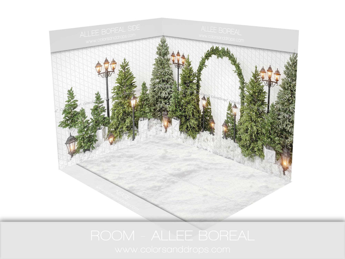 Fondo fotográfico de esquina de Navidad Allee Boreal – sendero de abetos nevado | Colors&Drops