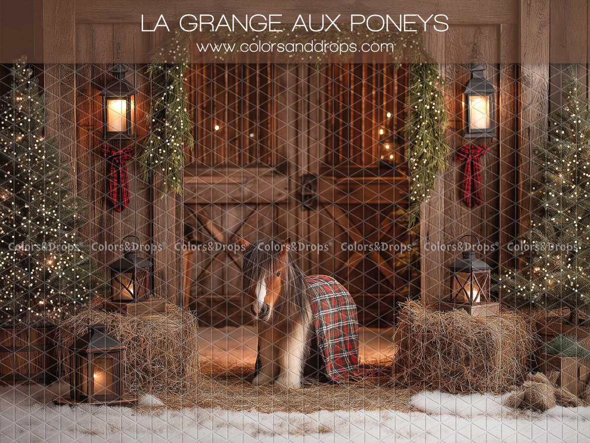 Fond photo de Noël La Grange aux Poneys – grange aux poneys avec poney et bottes de paille | Colors&Drops