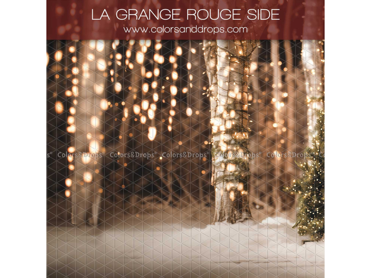 Fond photo latéral de Noël La Grange Rouge Side – forêt de bouleaux avec guirlandes lumineuses | Colors&Drops