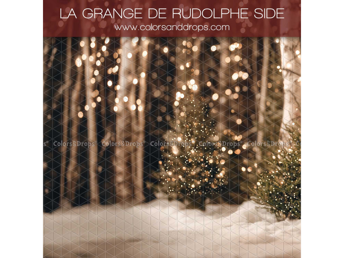 Fond photo latéral de Noël La Grange de Rudolphe Side – forêt de bouleaux illuminée avec sapins | Colors&Drops