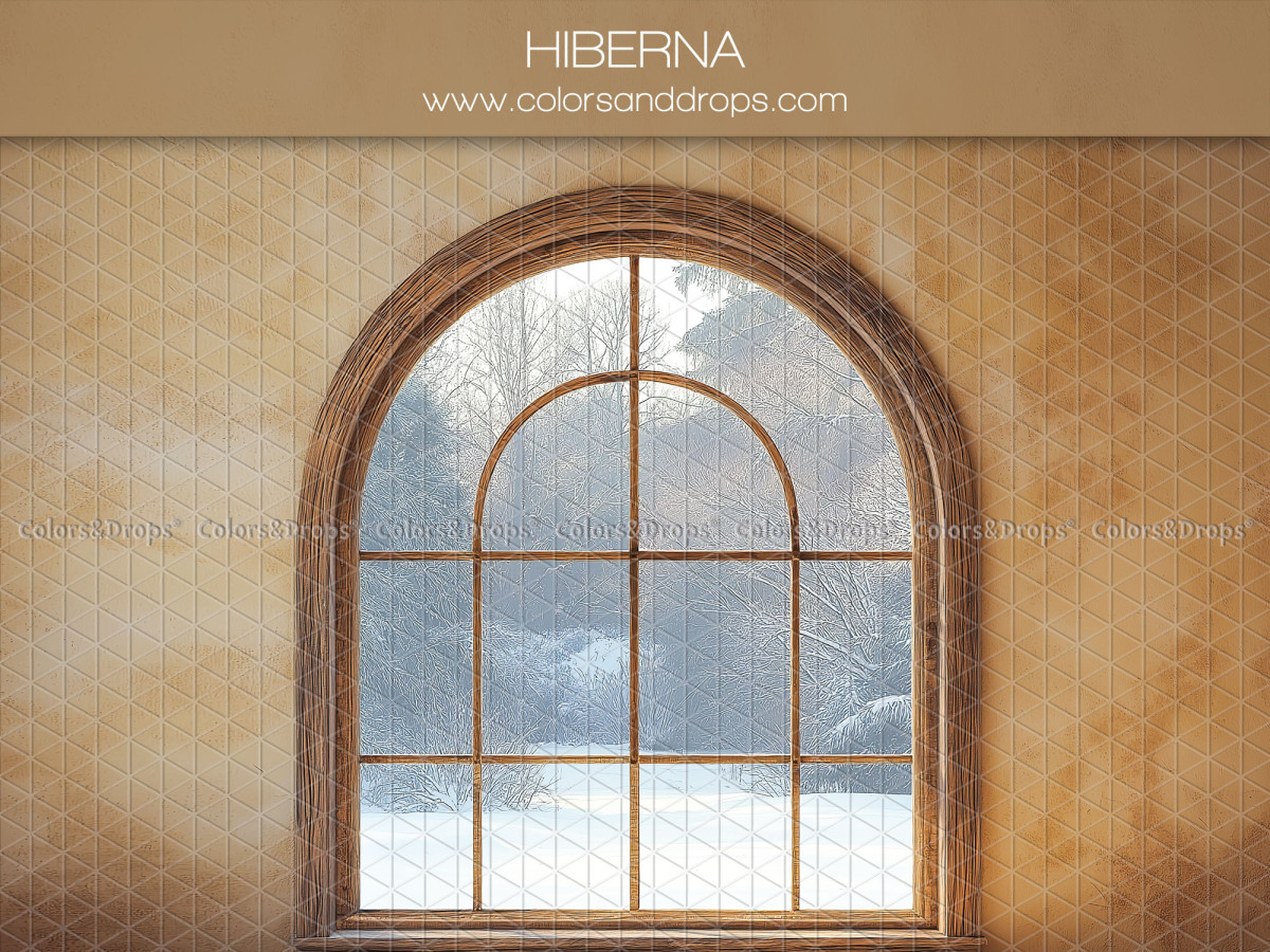 Fond photo de Noël Hiberna – fenêtre cintrée avec paysage enneigé | Colors&Drops