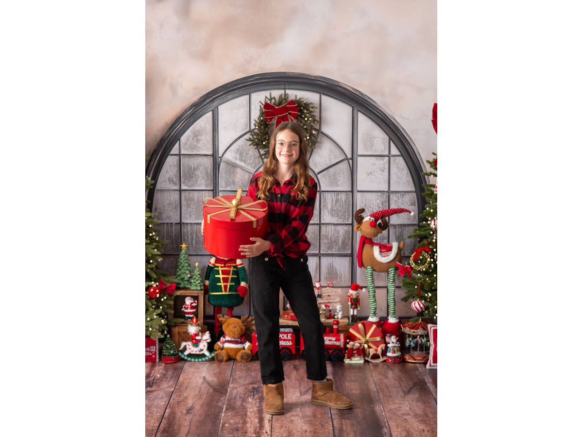 Fond photo de Noël Le Royaume des Jouets – fenêtre cintrée en métal avec sapins et jouets | Colors&Drops