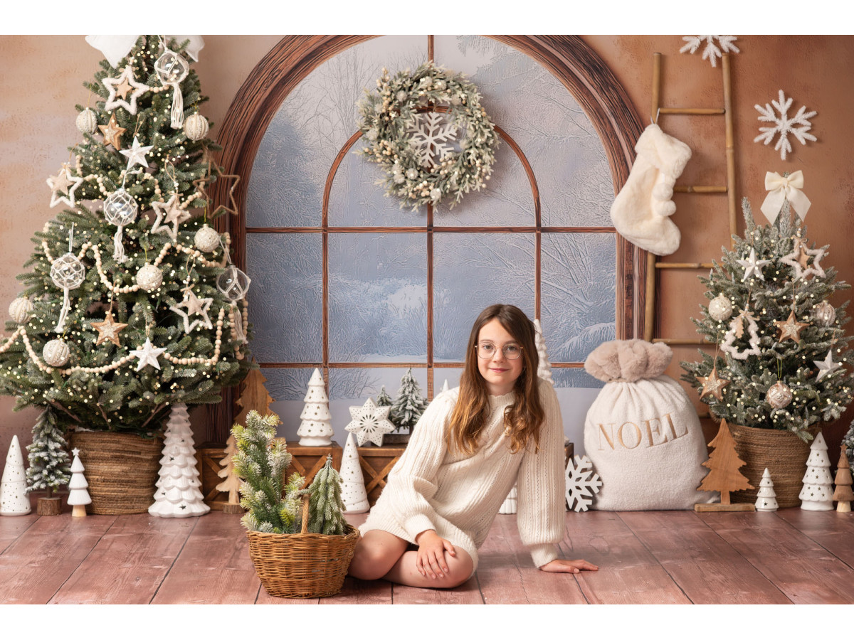 Fond photo de Noël Fenetre D'Hiver – fenêtre cintrée avec sapin et chaussette de Noël | Colors&Drops