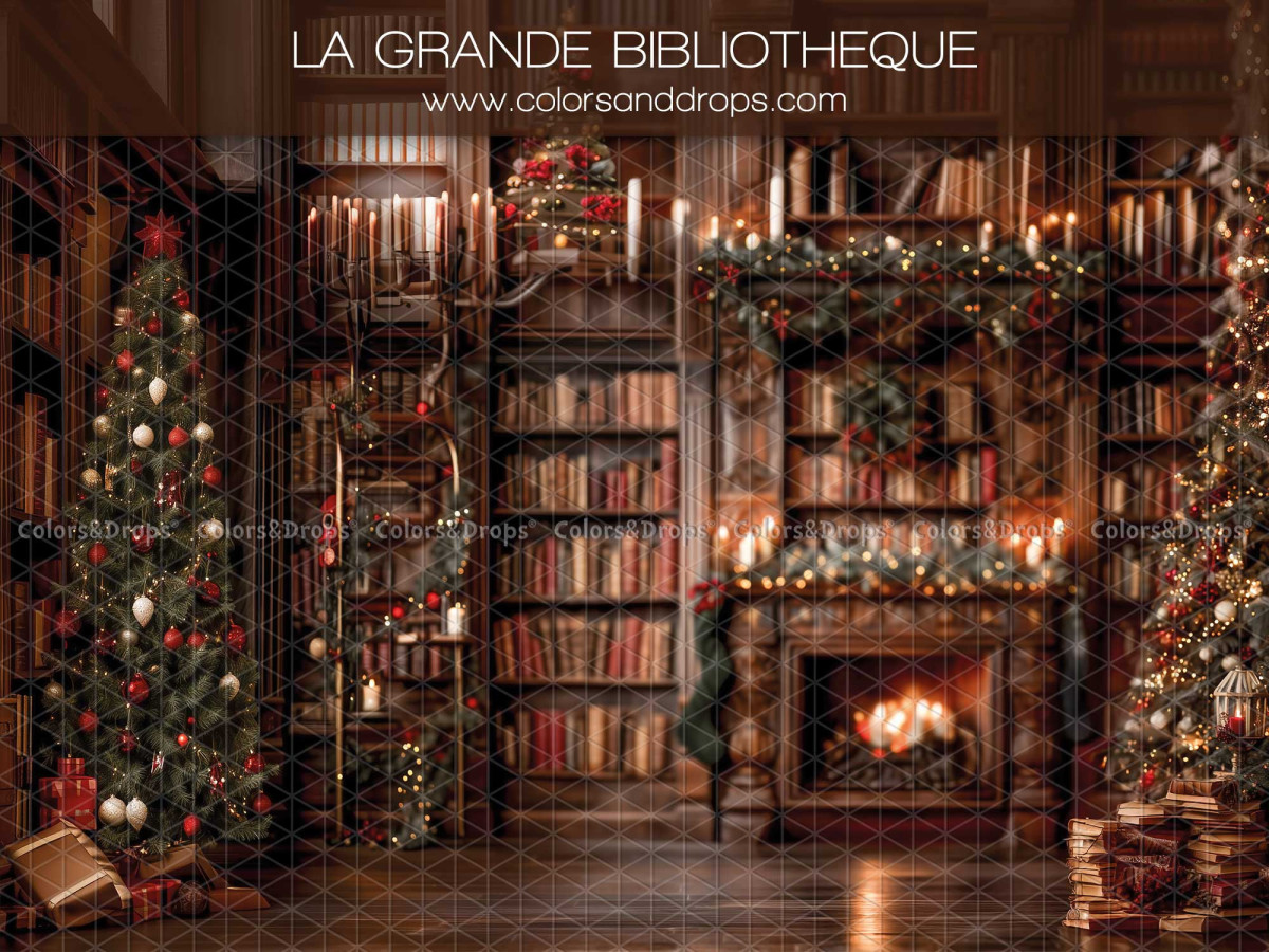 Fond photo de Noël La Grande Bibliotheque – grande bibliothèque avec cheminée et sapin | Colors&Drops