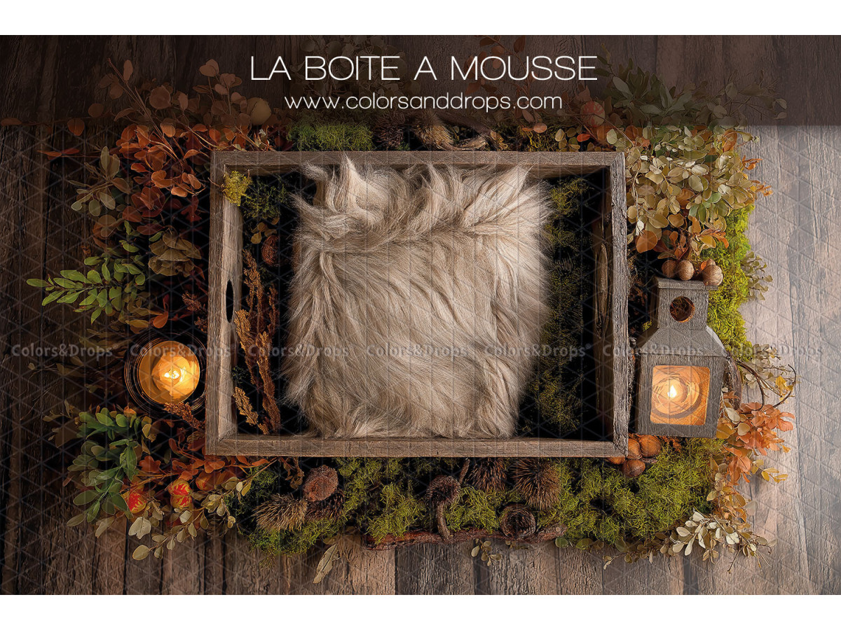 Newborn photo backdrop La Boite a Mousse – wooden frame with fur and moss | Colors&Drops