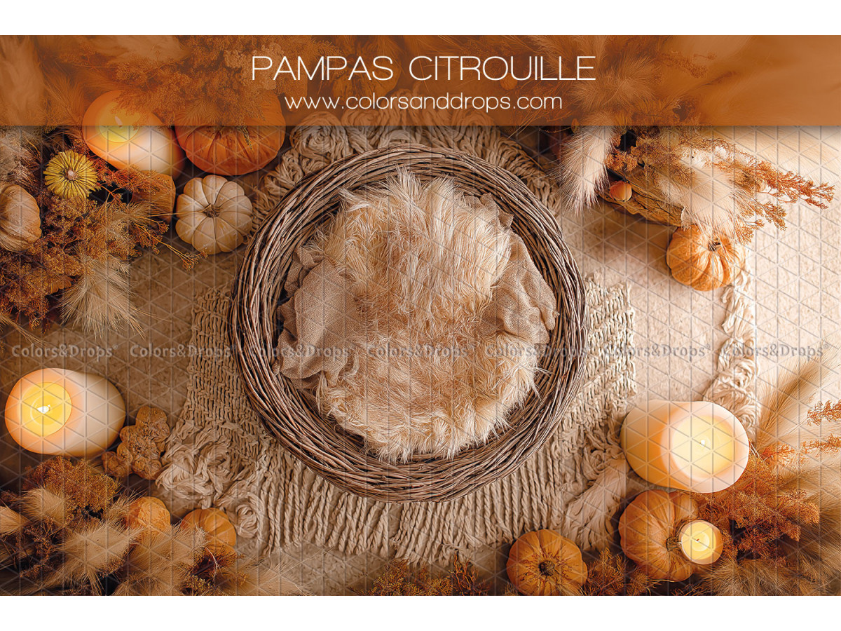 Newborn photo backdrop Pampas Citrouille – wicker nest with fur, pampas and pumpkins | Colors&Drops