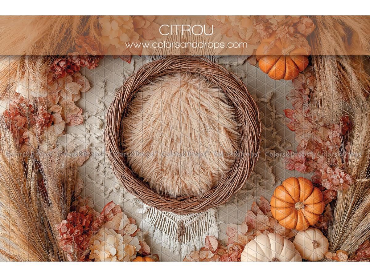 Newborn photo backdrop Citrou – wicker nest with fur and pumpkins | Colors&Drops