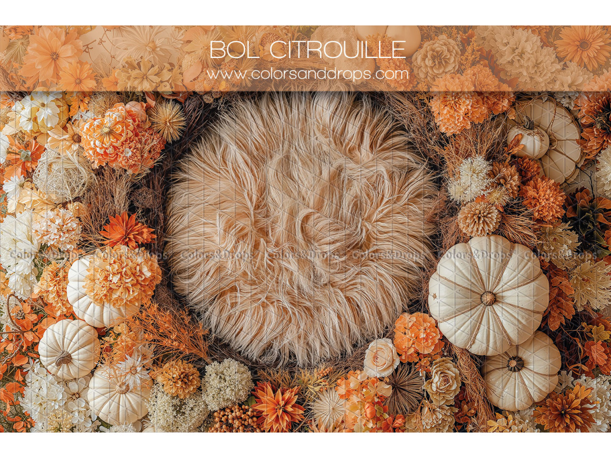 Newborn photo backdrop Bol Citrouille – fur bowl surrounded by pumpkins | Colors&Drops