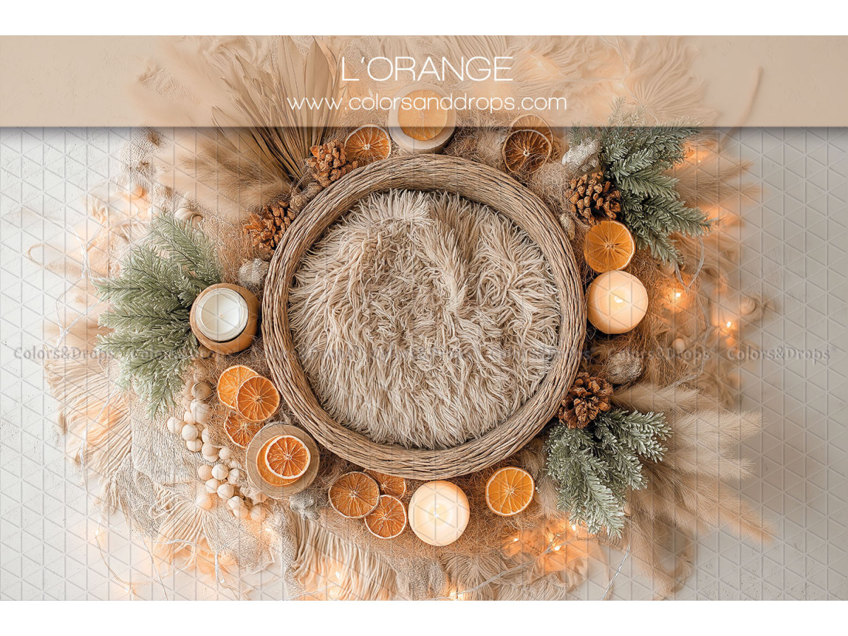 Newborn photo backdrop L'Orange – wicker nest with dried oranges and fir | Colors&Drops