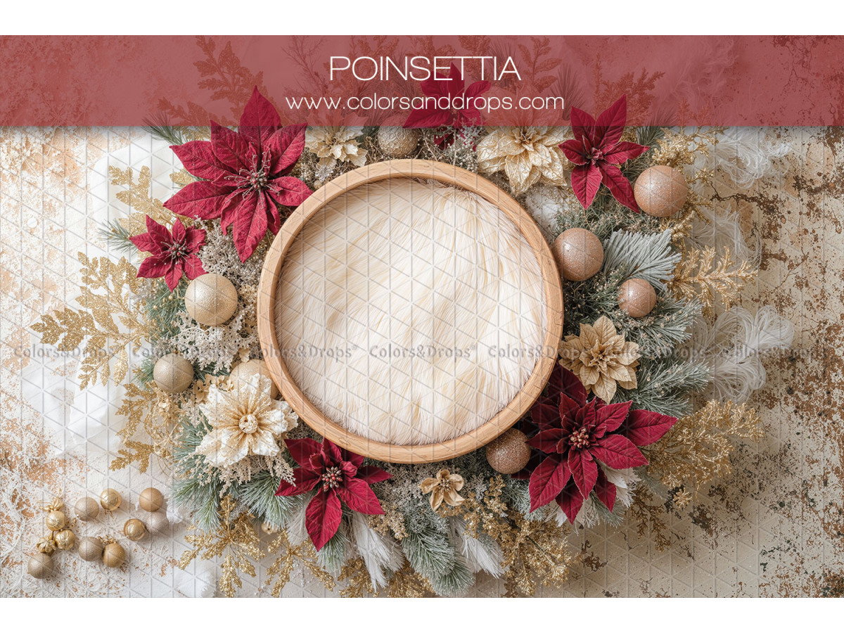 Newborn photo backdrop Poinsettia – wooden basket with poinsettias and gold baubles | Colors&Drops