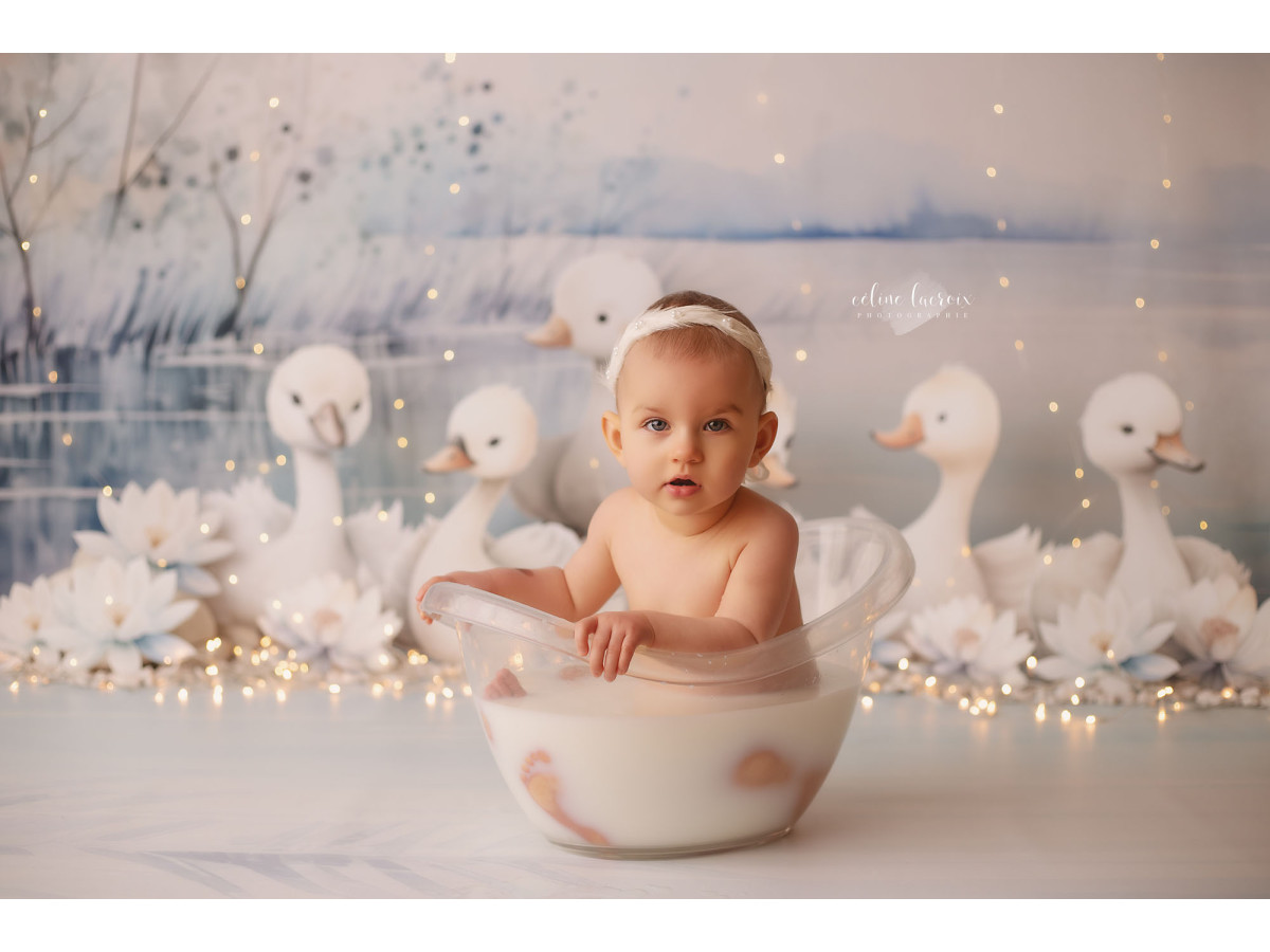 Fond photo bébé et smash cake Les Oies Sauvages – oies blanches au bord d'un lac d'hiver | Colors&Drops