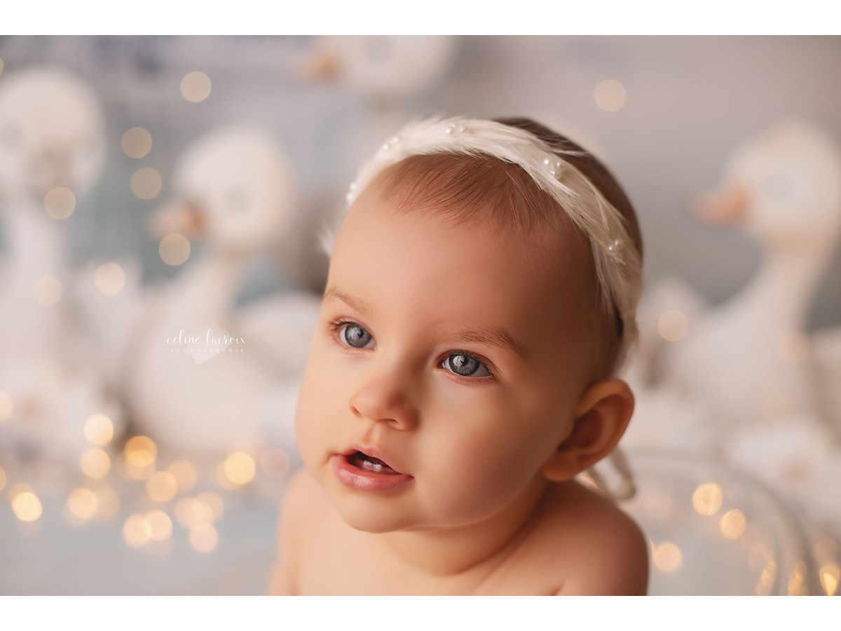 Fond photo bébé et smash cake Les Oies Sauvages – oies blanches au bord d'un lac d'hiver | Colors&Drops