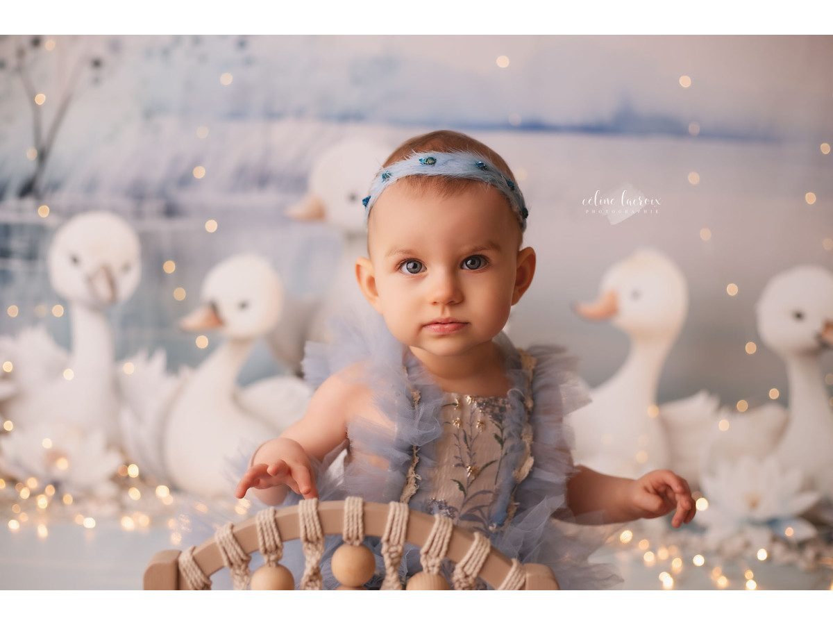 Fond photo bébé et smash cake Les Oies Sauvages – oies blanches au bord d'un lac d'hiver | Colors&Drops