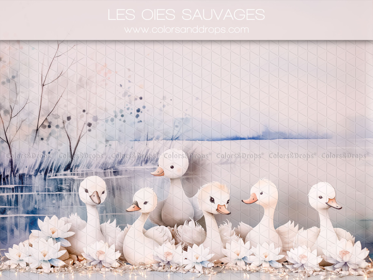 Fond photo bébé et smash cake Les Oies Sauvages – oies blanches au bord d'un lac d'hiver | Colors&Drops