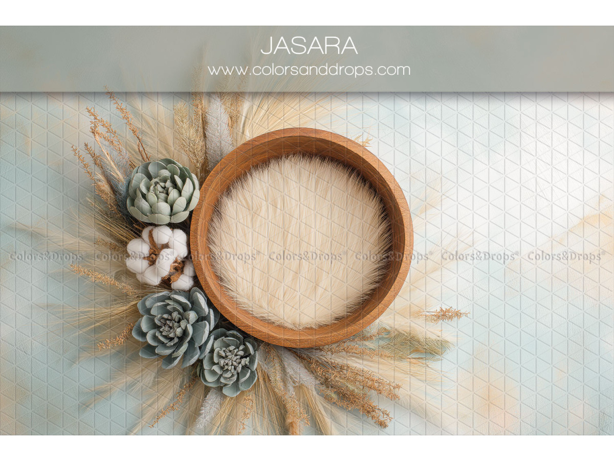 Fondo fotográfico de recién nacido Jasara – cuenco de madera con algodón y suculentas | Colors&Drops