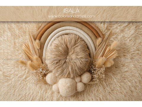 Fond photo nouveau-né Isala – arc-en-ciel beige avec nid en fourrure | Colors&Drops