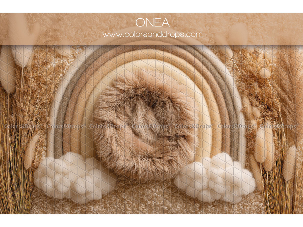 Newborn photo backdrop Onea – rainbow with fur nest and pampas | Colors&Drops