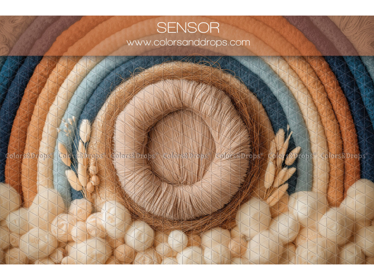 Newborn photo backdrop Sensor – blue and orange rainbow with fur nest | Colors&Drops