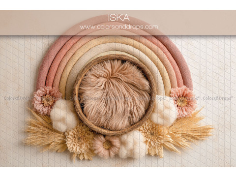 Fond photo nouveau-né Iska – arc-en-ciel rose avec nid en fourrure brune | Colors&Drops