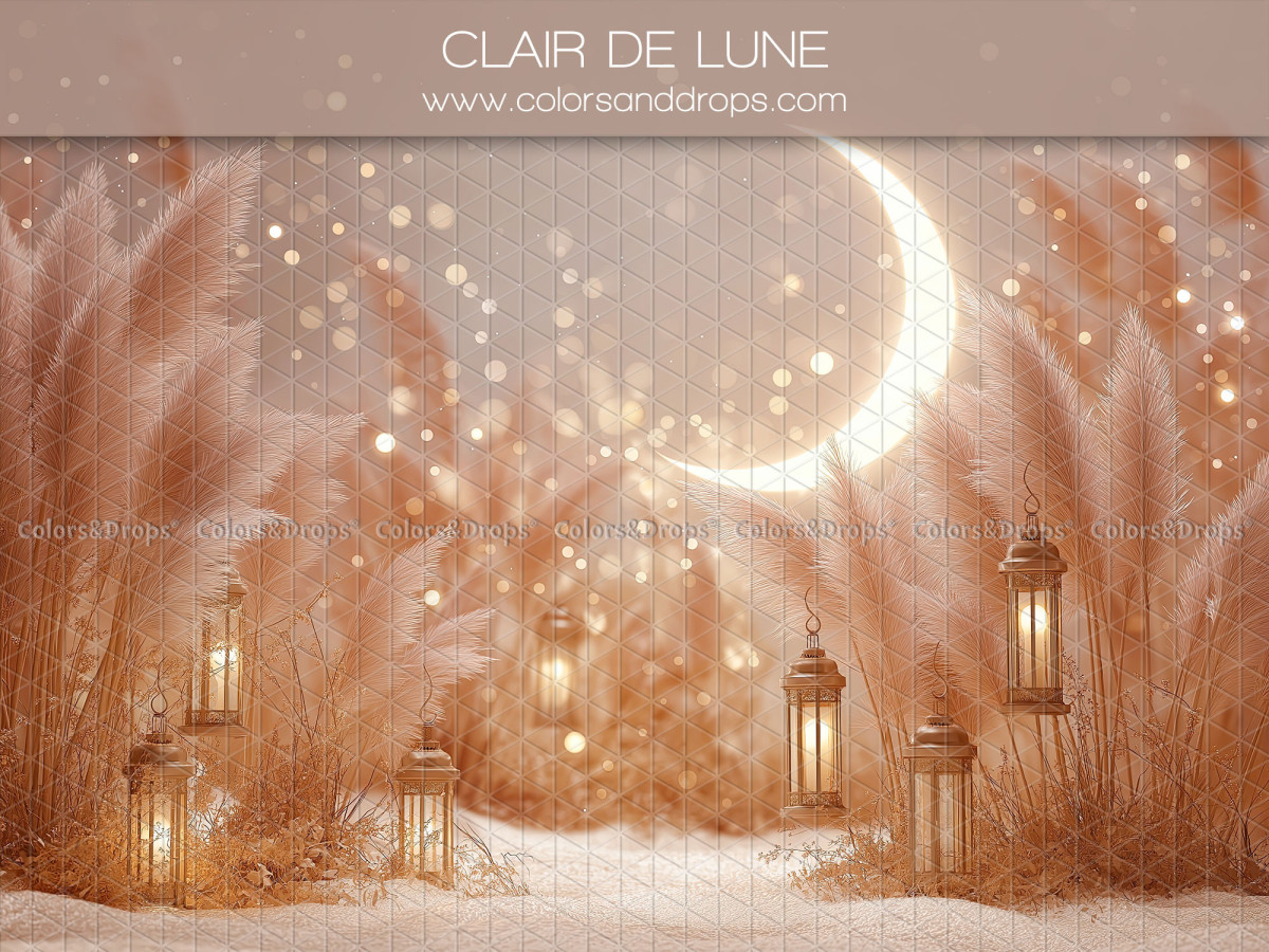 Photo backdrop Clair de Lune – moonlight with pampas and lanterns | Colors&Drops