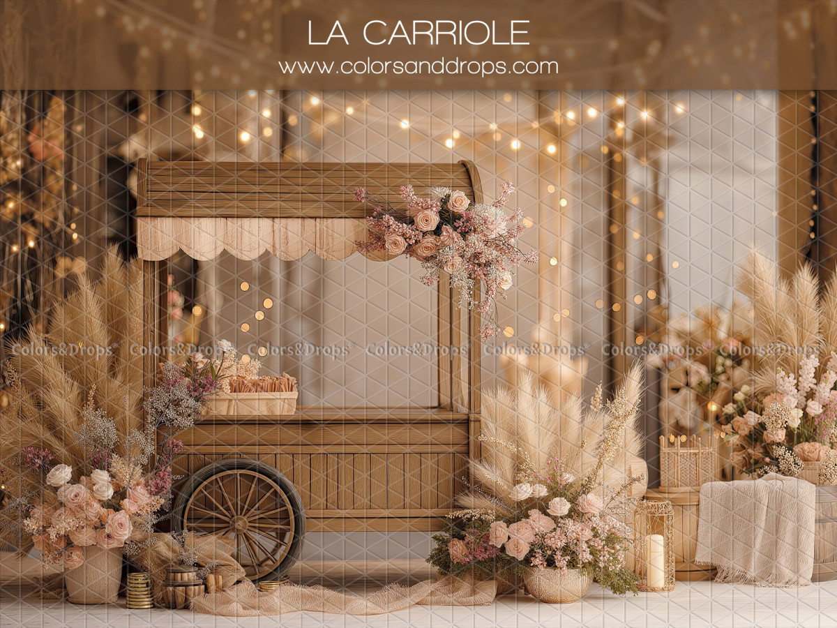 Fondo fotográfico de San Valentín La Carriole – carreta de madera con pampa y flores | Colors&Drops