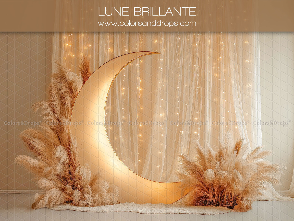 Fond photo bébé et smash cake Lune Brillante – lune brillante avec pampa et rideau lumineux | Colors&Drops
