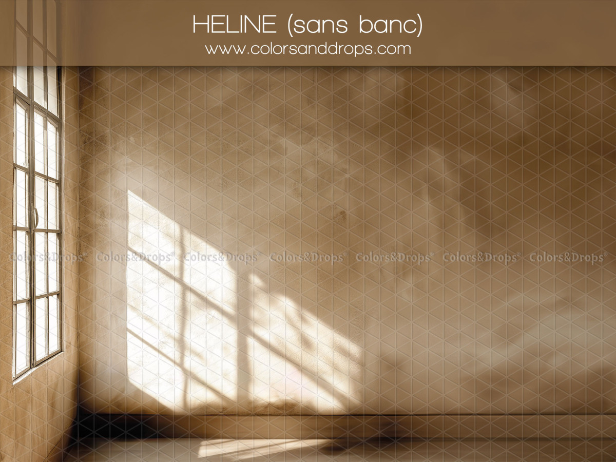 Fondo fotográfico de embarazo y retrato Heline – habitación vacía con pared texturizada y ventana soleada | Colors&Drops