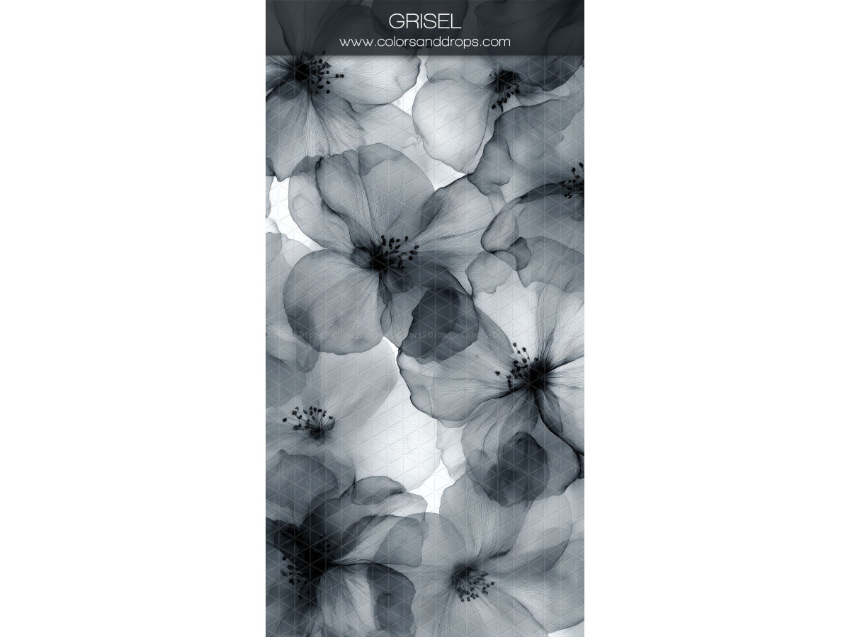 Fond photo noir texturé Grisel – fleurs transparentes noir et blanc effet radiographie | Colors&Drops