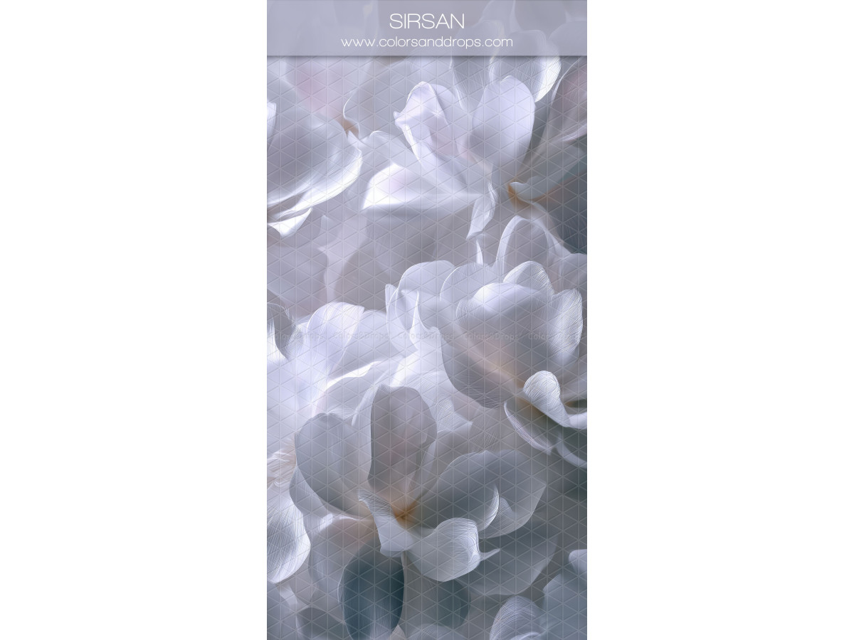 Fond photo blanc texturé Sirsan – grandes fleurs blanches sur fond lavande | Colors&Drops