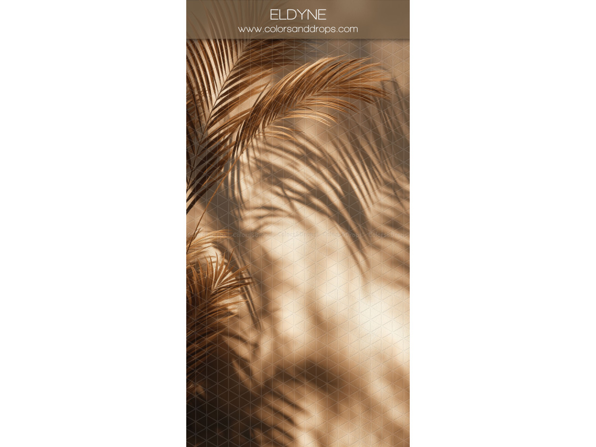 Fond photo brun texturé Eldyne – ombres de palmes sur mur brun ensoleillé | Colors&Drops