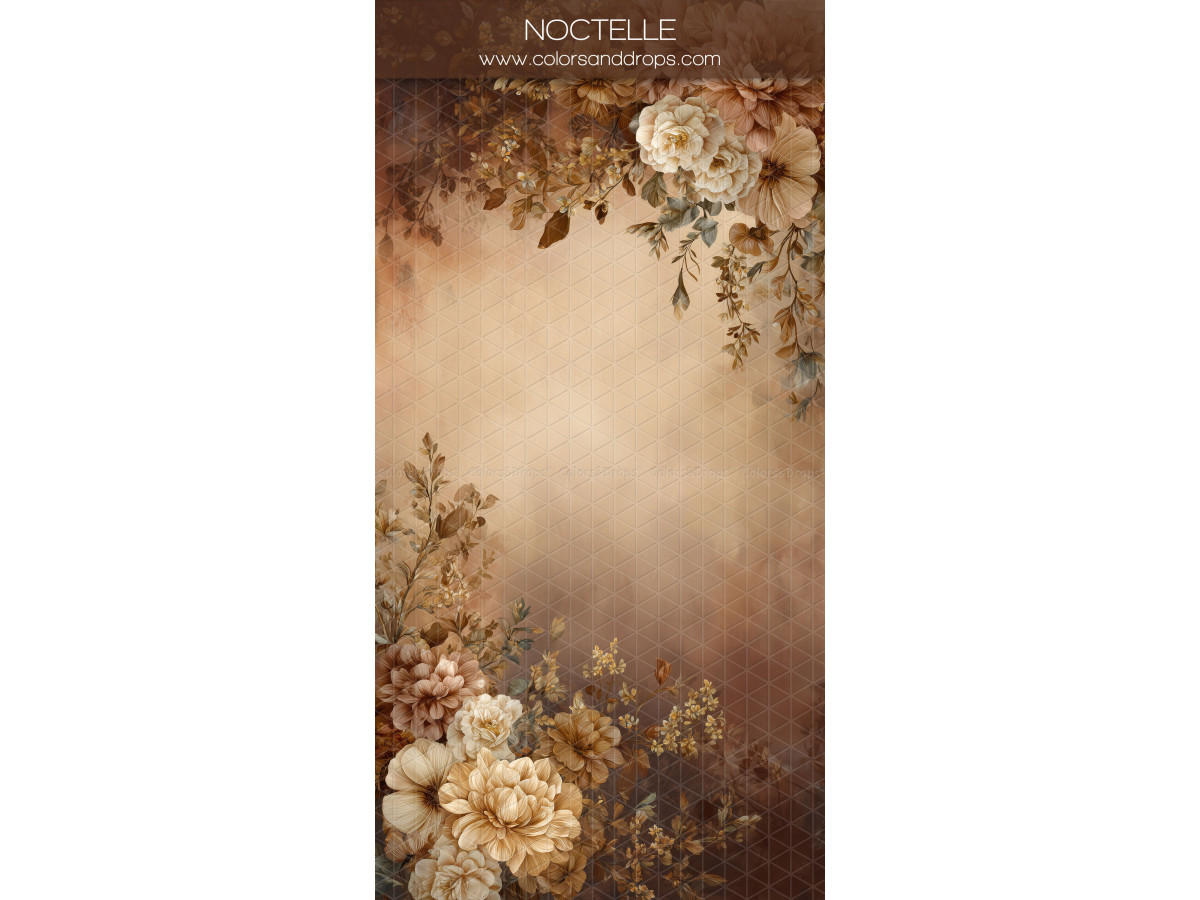 Photo backdrop Noctelle – frame of cream flowers on beige and brown background | Colors&Drops