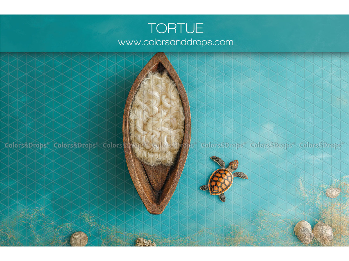 Fondo fotográfico de recién nacido Tortue – barca de madera con tortuga sobre agua turquesa | Colors&Drops