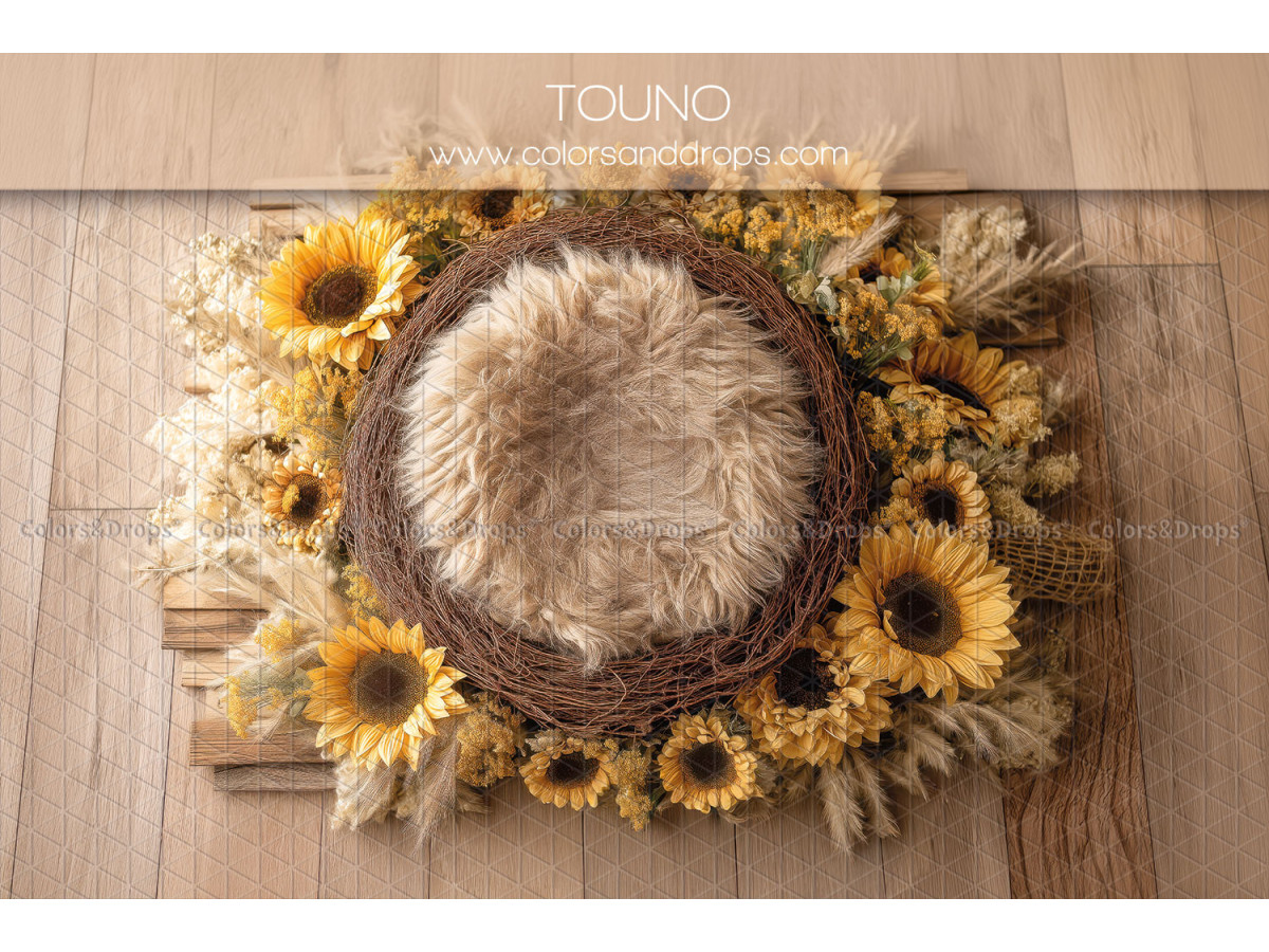 Newborn photo backdrop Touno – wicker nest with sunflowers on wooden floor | Colors&Drops