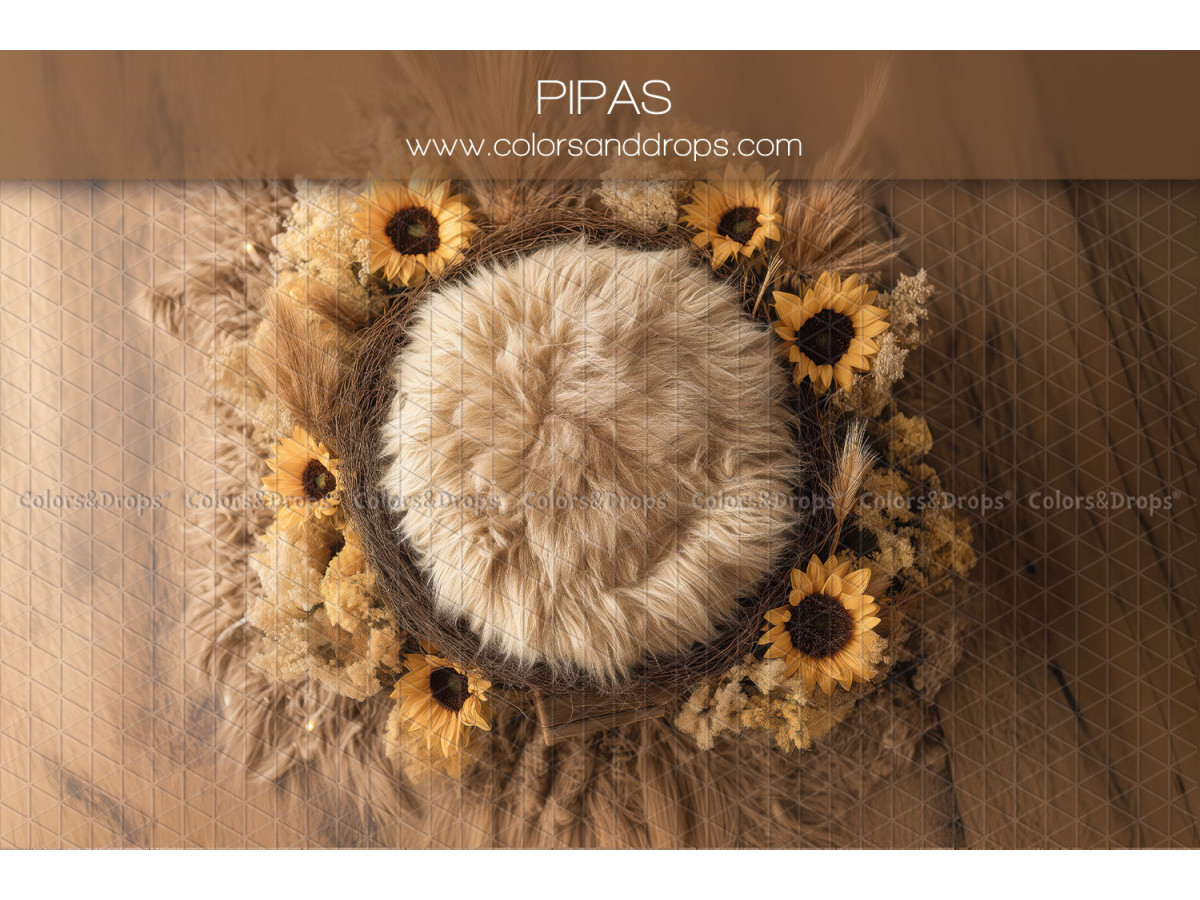 Newborn photo backdrop Pipas – fur nest with sunflowers and pampas | Colors&Drops
