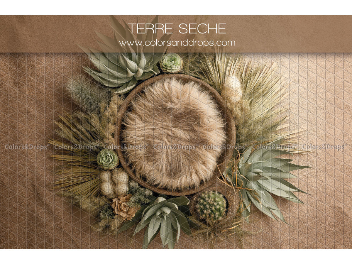 Newborn photo backdrop Terre Seche – fur nest with succulents and agaves | Colors&Drops