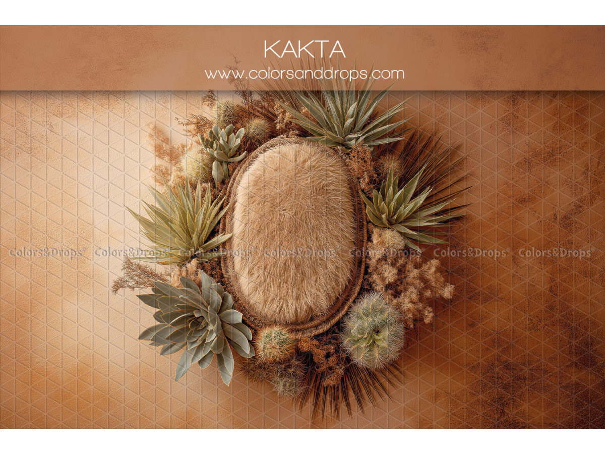 Newborn photo backdrop Kakta – oval nest with cacti and succulents | Colors&Drops