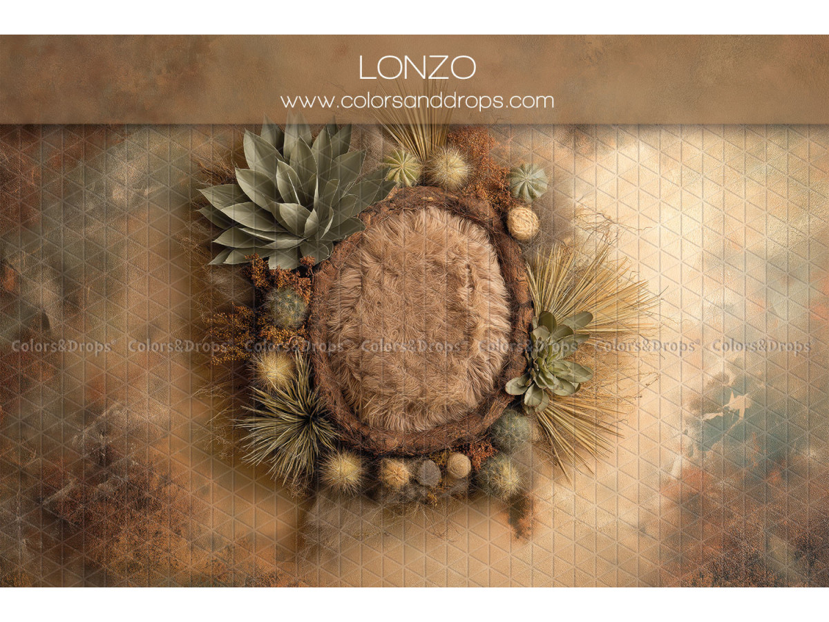 Fondo fotográfico de recién nacido Lonzo – nido de piel con suculentas sobre fondo envejecido | Colors&Drops