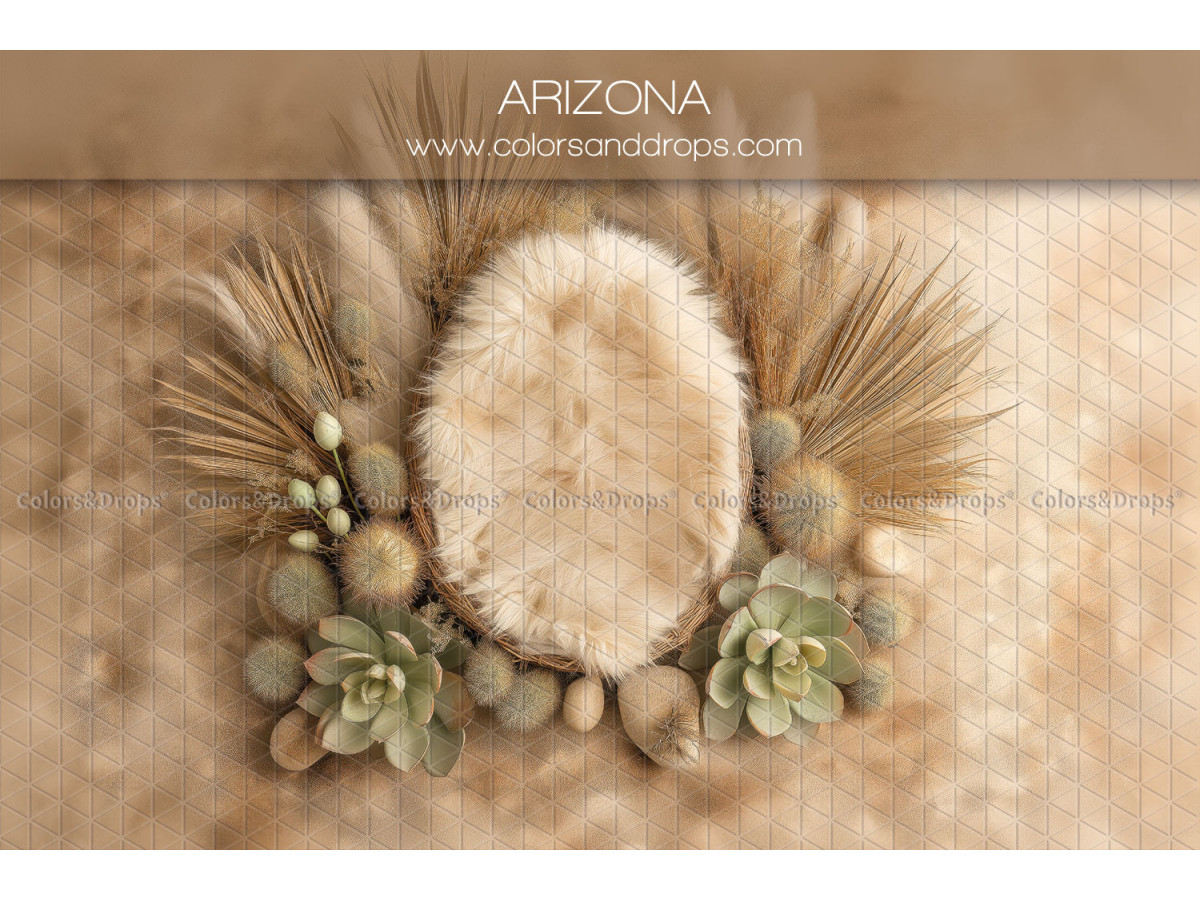 Newborn photo backdrop Arizona – fur nest with succulents and palms | Colors&Drops