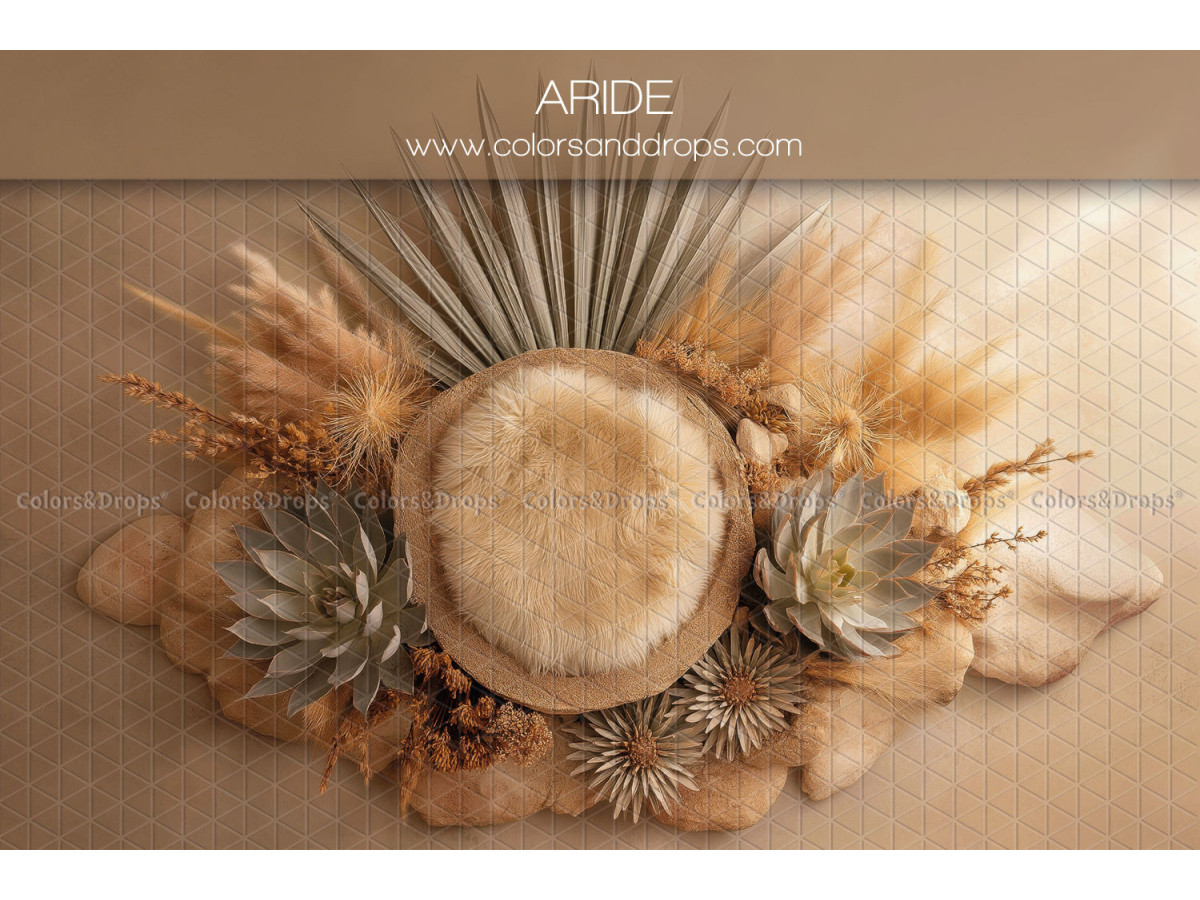 Newborn photo backdrop Aride – wooden bowl with succulents and dried palms | Colors&Drops