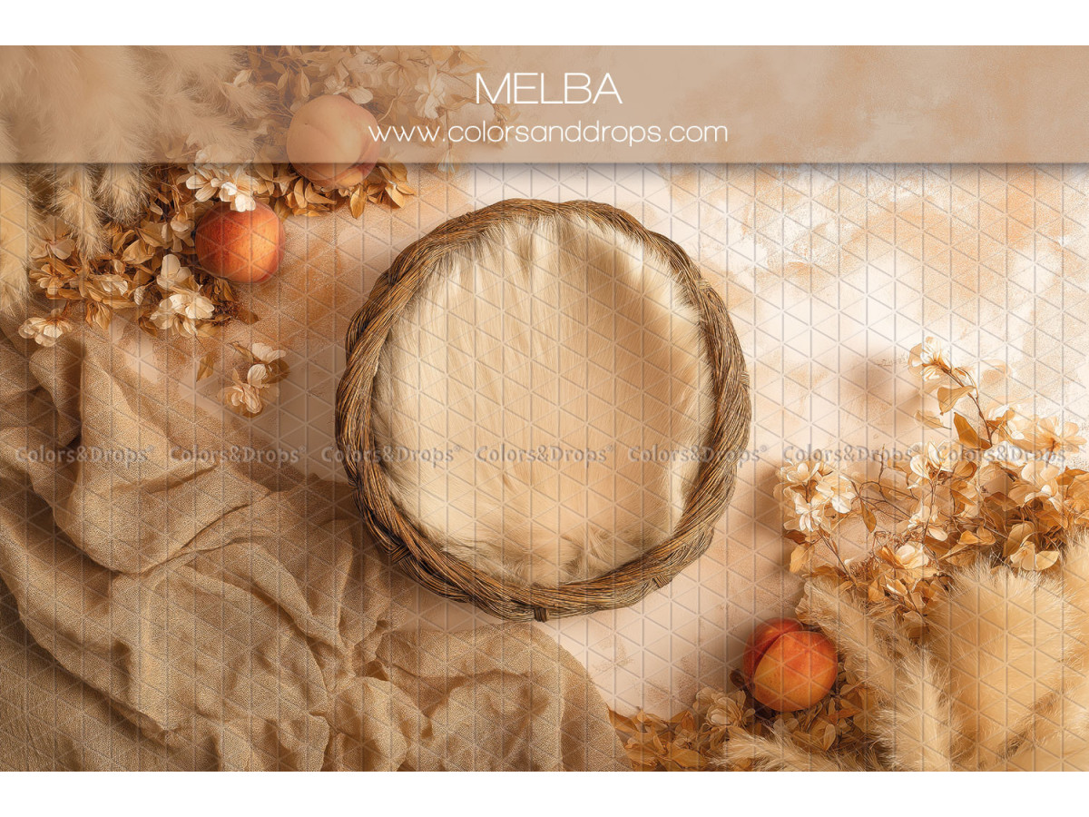Newborn photo backdrop Melba – wicker nest with dried flowers and apples | Colors&Drops