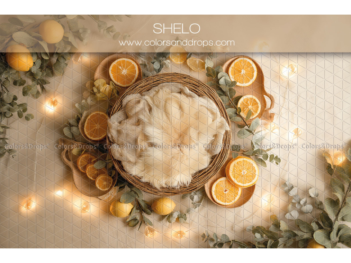 Fond photo nouveau-né Shelo – nid en osier avec oranges et lumières | Colors&Drops